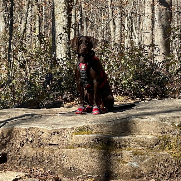 Hello, Andrea is LIVE! Come join! - Picture 4 of 5